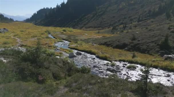 Řeka Vodopád Zelenými Stromy Kanadské Horské Krajině Brandywine Meadows Poblíž — Stock video