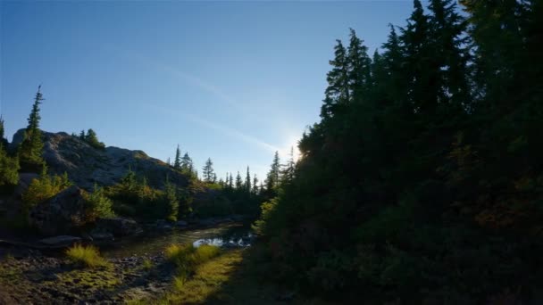 Strahlend Grüne Bäume Auf Dem Gipfel Der Kanadischen Berglandschaft Sonniger — Stockvideo