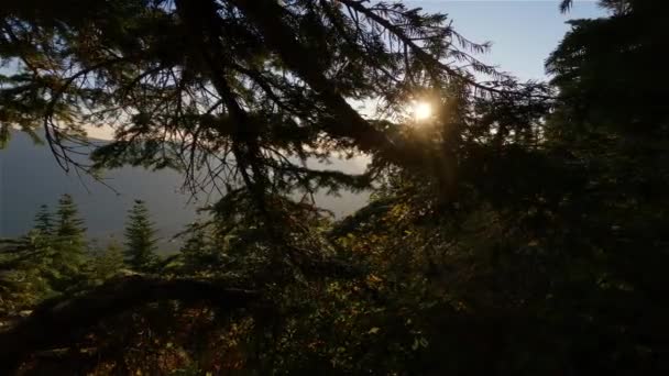 Kanadische Landschaft Mit Herbstfarben Bei Sonnigem Sonnenuntergang Elk Mountain Chilliwack — Stockvideo