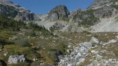 Kanada Dağ Manzarası 'nda yeşil ağaçları olan nehir ve şelale. Whistler ve Squamish yakınlarındaki Brandywine Meadows, British Columbia, Kanada. Doğa Arkaplanı. Hava Sineması