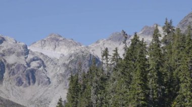 Kanada Dağ Manzarası 'ndaki Ağaçlar ve Kayalar. Sunny Fall sezonu. Whistler ve Squamish yakınlarındaki Brandywine Meadows, British Columbia, Kanada. Doğa Arkaplanı. Sinematik