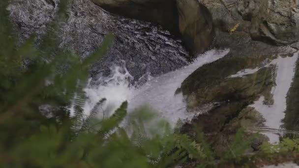 Agua Dulce Que Corre Por Agua Cae Alrededor Las Rocas — Vídeos de Stock