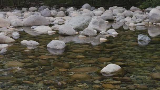 Agua Dulce Corriendo Río Abajo Alrededor Rocas Naturaleza Canadiense Lynn — Vídeo de stock