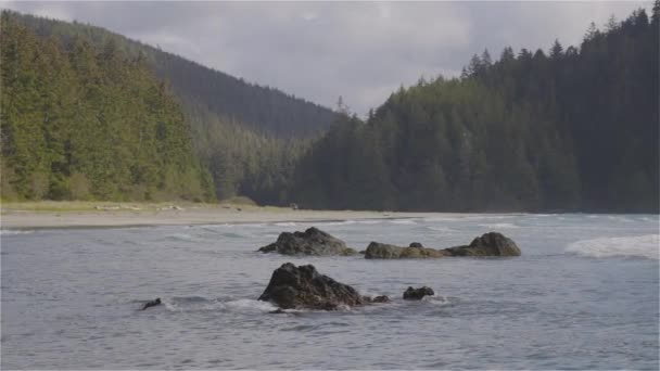 Zandstrand Aan Pacific Ocean Coast View Zonnige Blauwe Lucht San — Stockvideo