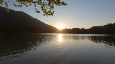 Kanada Doğa Manzarası 'nın üzerinde güneşli bir gün batımı. Hicks Lake, Sasquatch İl Parkı Harrison Hot Springs, British Columbia, Kanada yakınlarında. Geçmişi. Yavaş Hareket