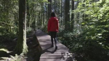 Lynn Canyon Parkı, Kuzey Vancouver, British Columbia, Kanada 'da kadın yürüyüşçü. Yağmur Ormanları 'nda Tahta Yürüyüş Yolu. Sunny Fall sezonu. Macera Yolculuğu. Yavaş Hareket