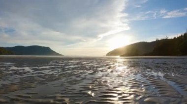 Pasifik Okyanusu Sahil Manzarası 'ndaki kumsal. Günbatımı Gökyüzü. San Josef Körfezi, Scott Burnu İl Parkı, Kuzey Vancouver Adası, BC, Kanada. Kanada Doğa Arkaplanı. Sinematik 4k