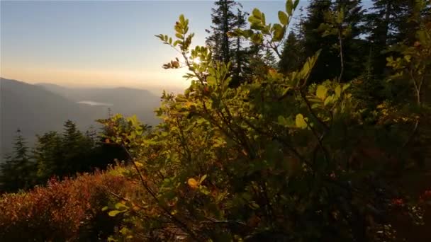 Kanadyjski Krajobraz Jesiennymi Kolorami Podczas Słonecznego Zachodu Słońca Elk Mountain — Wideo stockowe