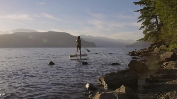 冒险的女人在平静的湖中的木板上爬行 夕阳西下哈里森温泉 加拿大不列颠哥伦比亚省 冒险运动旅行的概念 慢动作电影 — 图库视频影像