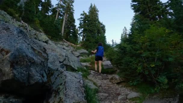 Mujer Aventurera Senderismo Cima Del Paisaje Montaña Canadiense Tarde Soleada — Vídeo de stock