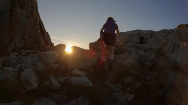Abenteuerlustige Wanderin Auf Dem Gipfel Der Kanadischen Berglandschaft Sonniger Abendhimmel — Stockvideo