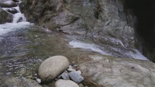Świeża Woda Spływająca Wodzie Spada Wokół Skał Kanadyjskiej Naturze Kaniony — Wideo stockowe