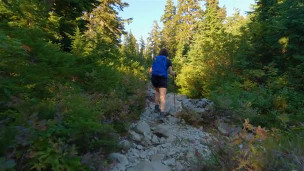 Caminhadas Mulheres Aventureiras Topo Paisagem Montanhosa Canadense Com Árvores Sunny — Vídeo de Stock