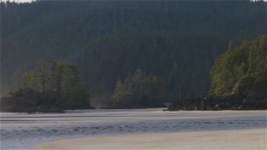 Pasifik Okyanusu Sahil Manzarası 'ndaki kumsal. Güneşli Mavi Gökyüzü. San Josef Körfezi, Scott Burnu İl Parkı, Kuzey Vancouver Adası, BC, Kanada. Kanada Doğa Arkaplanı. Yavaş Sinema Sineması