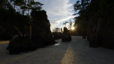 Pasifik Okyanusu Sahil Manzarası 'ndaki kumsal. Günbatımı Gökyüzü. San Josef Körfezi, Scott Burnu İl Parkı, Kuzey Vancouver Adası, BC, Kanada. Kanada Doğa Arkaplanı. Sinematik 4k