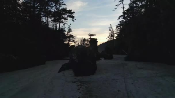 Zandstrand Aan Pacific Ocean Coast View Zonsondergang Hemel San Josef — Stockvideo