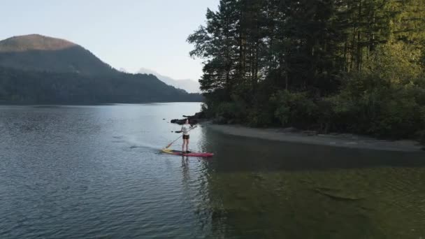 Äventyrlig Kvinna Paddling Paddelbräda Lugn Sjö Solig Solnedgång Hicks Lake — Stockvideo