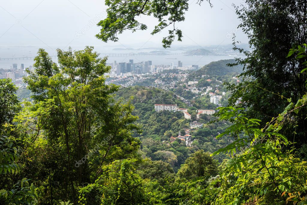 Beautiful view to city buildings from green rainforest mountain in Rio de Janeiro, Brazil