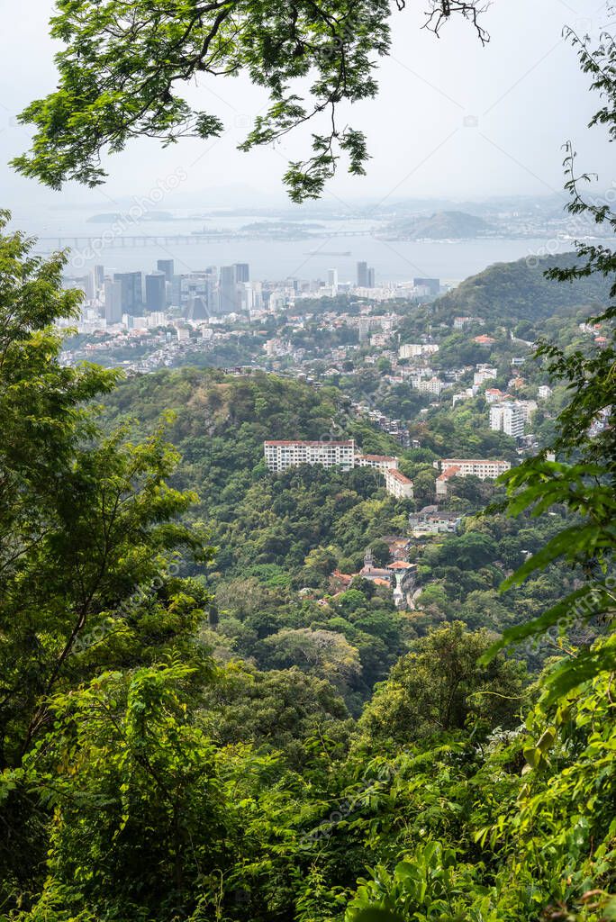 Beautiful view to city buildings from green rainforest mountain in Rio de Janeiro, Brazil