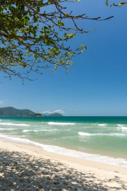 Güneşli bir günde yeşil yağmur ormanlarına ve mavi suya güzel manzara, Ilhabela, Sao Paulo, Brezilya