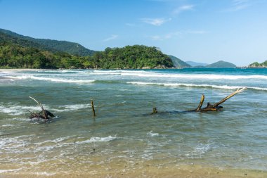 Güneşli bir günde yeşil yağmur ormanlarına ve mavi suya güzel manzara, Ilhabela, Sao Paulo, Brezilya