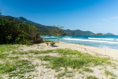 Güneşli bir günde yeşil yağmur ormanlarına ve mavi suya güzel manzara, Ilhabela, Sao Paulo, Brezilya