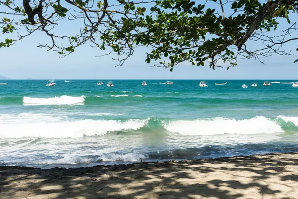 Hermosa Vista Selva Verde Playa Salvaje Agua Azul Día Soleado — Foto de Stock