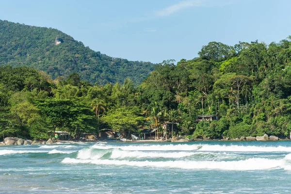 Beautiful View Green Rainforest Blue Water Wild Beach Sunny Day — Stock Photo, Image