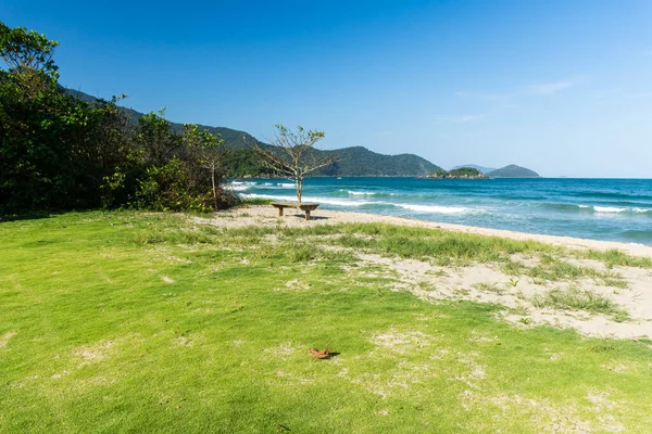 Hermosa Vista Selva Verde Playa Salvaje Agua Azul Día Soleado —  Fotos de Stock