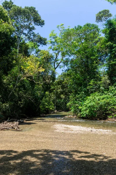 Hermosa Vista Río Atlántico Sobre Verde Ilhabela Sao Paulo Brasil — Foto de Stock