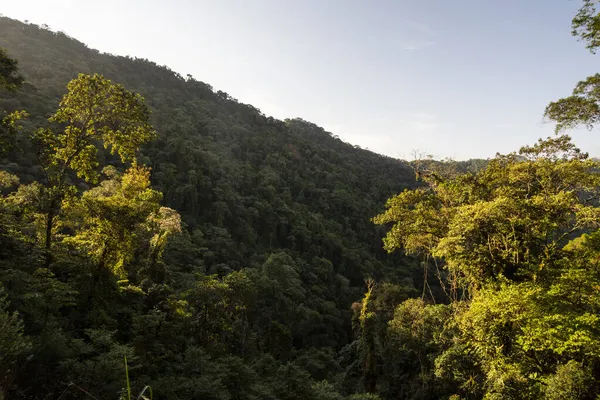 Hermosa Vista Paisaje Verde Selva Atlántica Ilhabela Sao Paulo Brasil — Foto de Stock