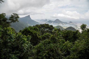 Brezilya Rio de Janeiro 'da yağmur ormanları ve yeşil şehir manzarasına güzel bir manzara