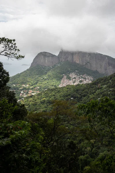 Beautiful View Green Rainforest Mountain Favela Rio Janeiro Brazil — стокове фото