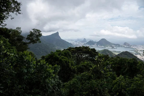Krásný Výhled Deštný Prales Zelenou Městskou Krajinu Rio Janeiro Brazílie — Stock fotografie
