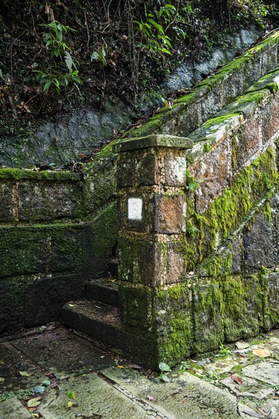 Vacker Utsikt Över Gamla Historiska Steniga Trappan Grönt Regnskogsområde Rio — Stockfoto
