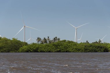 Lenois Maranhenses, Maranhao Eyaleti, Brezilya 'da nehir kenarındaki rüzgar türbinlerine güzel bir manzara.
