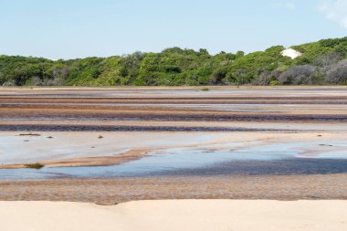 Lenois Maranhenses, Maranhao Eyaleti, Brezilya 'da sığ nehir suları ve yeşil bitki örtüsü için güzel bir manzara.