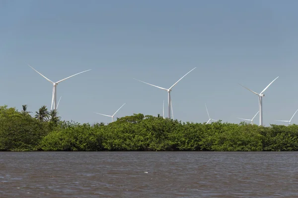 Beautiful View Wind Turbines River Side Lenois Maranhenses Maranhao State — Stock Photo, Image