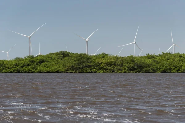 Beautiful View Wind Turbines River Side Lenois Maranhenses Maranhao State — Stock Photo, Image