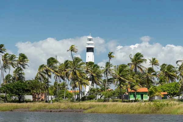 Hermosa Vista Faro Blanco Negro Cerca Palmeras Mandacaru Estado Maranhao — Foto de Stock