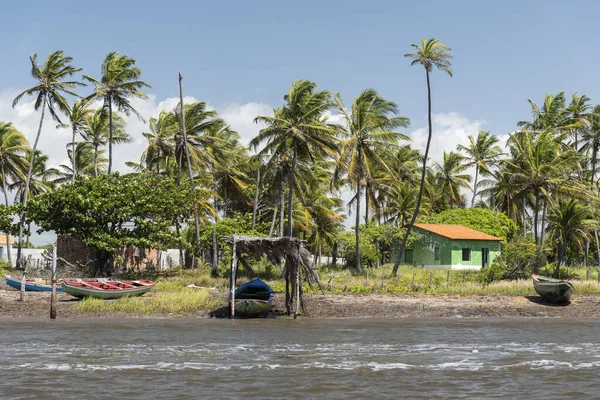 Prachtig Uitzicht Vissersboten Groene Palmbomen Aan Rivier Preguias Maranhao State — Stockfoto