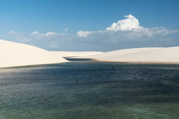 Krásný Výhled Modrou Dešťovou Lagunu Bílých Písečných Dunách Lenois Maranhenses — Stock fotografie