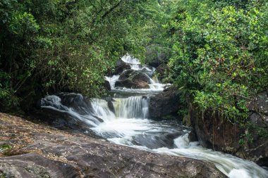 Yeşil nehir üzerindeki Atlantik yağmur ormanlarının güzel manzarası, Serrinha do Alambari, Rio de Janeiro, Brezilya