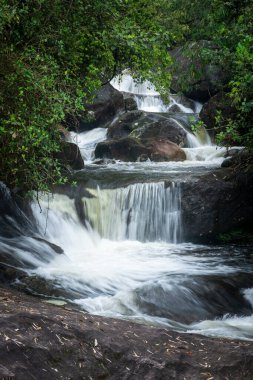 Yeşil nehir üzerindeki Atlantik yağmur ormanlarının güzel manzarası, Serrinha do Alambari, Rio de Janeiro, Brezilya