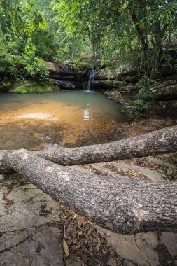 Chapada dos Veadeiros, Brezilya 'da cerrado şelalesi manzarası