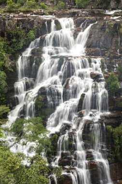 Chapada dos Veadeiros, Brezilya 'da cerrado şelalesi manzarası