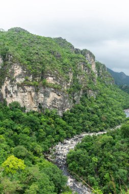 Brezilya 'da Chapada dos Veadeiros' taki yeşil vadideki Cerrado nehrinin güzel manzarası