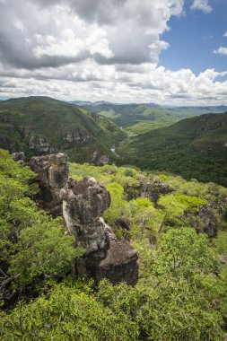 Brezilya 'da Chapada dos Veadeiros' taki yeşil vadideki Cerrado nehrinin güzel manzarası