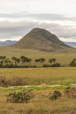 Brezilya 'da Chapada dos Veadeiros' taki Cerrado palmiye ağaçları ve dağlar