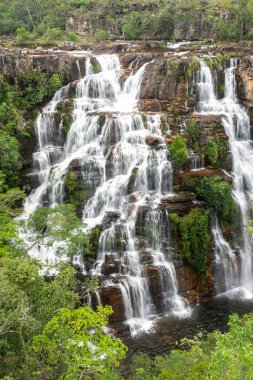 Chapada dos Veadeiros, Brezilya 'da cerrado şelalesi manzarası